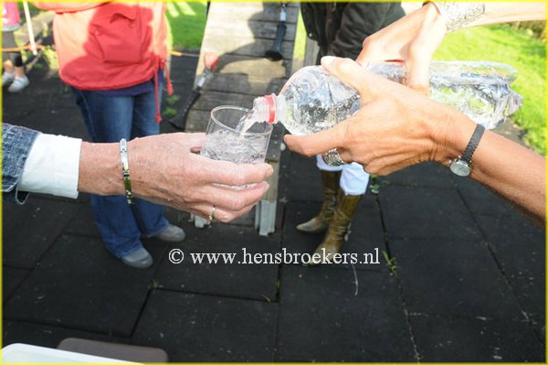 Woudrustlaanfeest_-2010_054.jpg