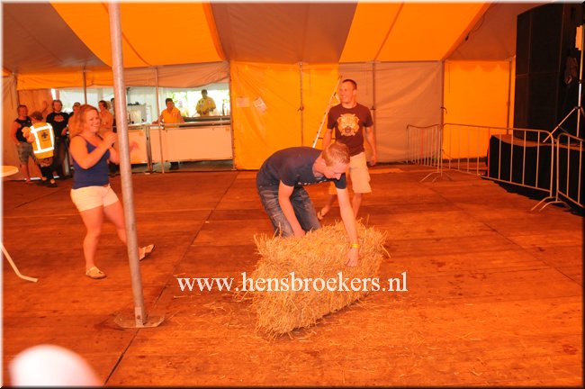 Zomerfestival 2014_039.jpg