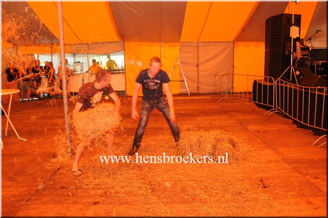 Zomerfestival 2014_042.jpg