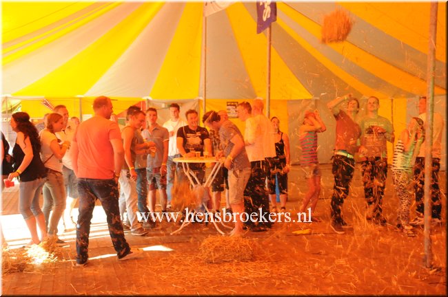 Zomerfestival 2014_043.jpg