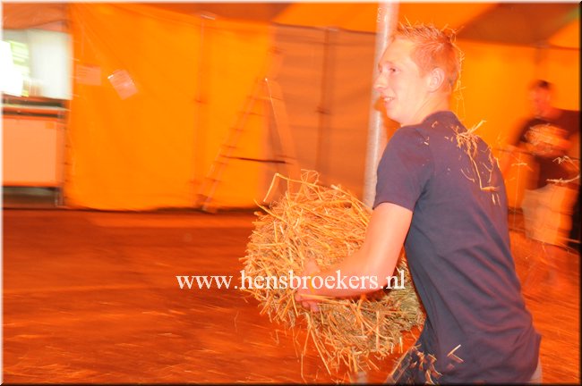 Zomerfestival 2014_044.jpg