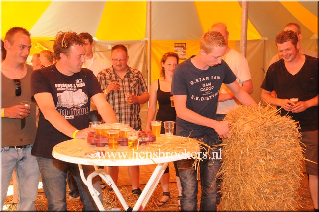 Zomerfestival 2014_049.jpg