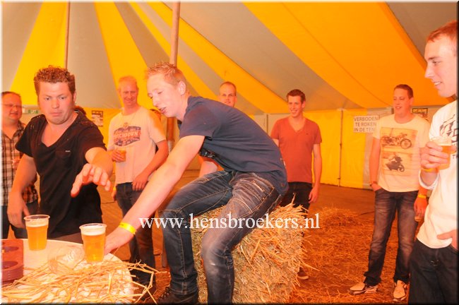 Zomerfestival 2014_050.jpg