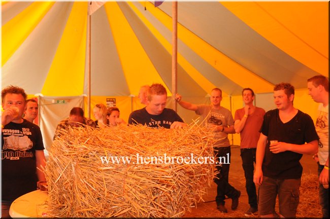Zomerfestival 2014_052.jpg