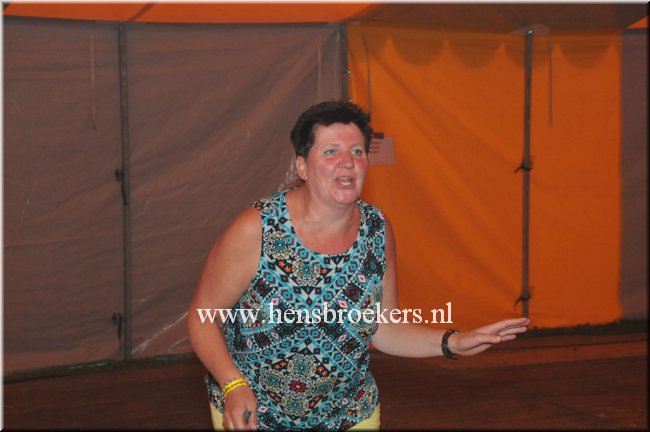 Zomerfestival 2014_096.jpg